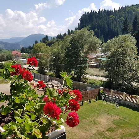 Casa Teodor Rucar Casa De Oaspeti Екстер'єр фото