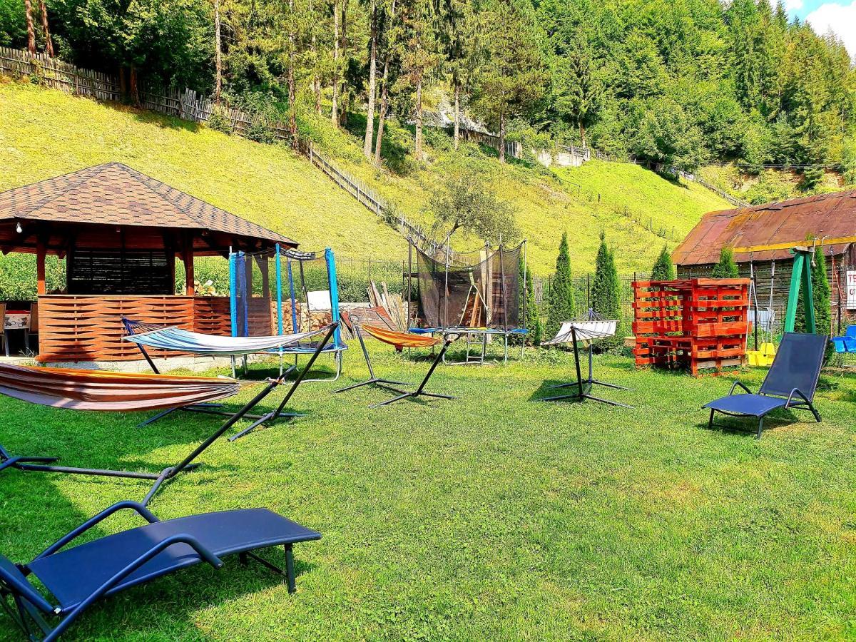 Casa Teodor Rucar Casa De Oaspeti Екстер'єр фото