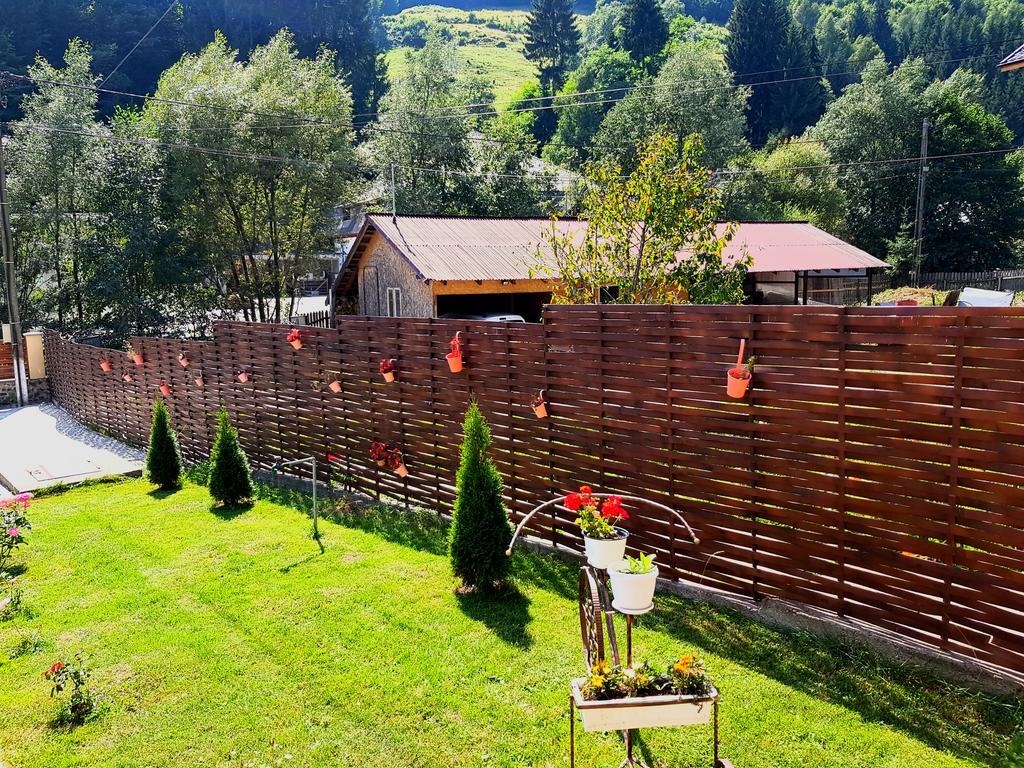 Casa Teodor Rucar Casa De Oaspeti Екстер'єр фото