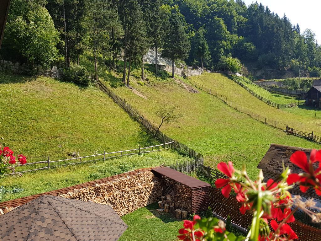 Casa Teodor Rucar Casa De Oaspeti Екстер'єр фото