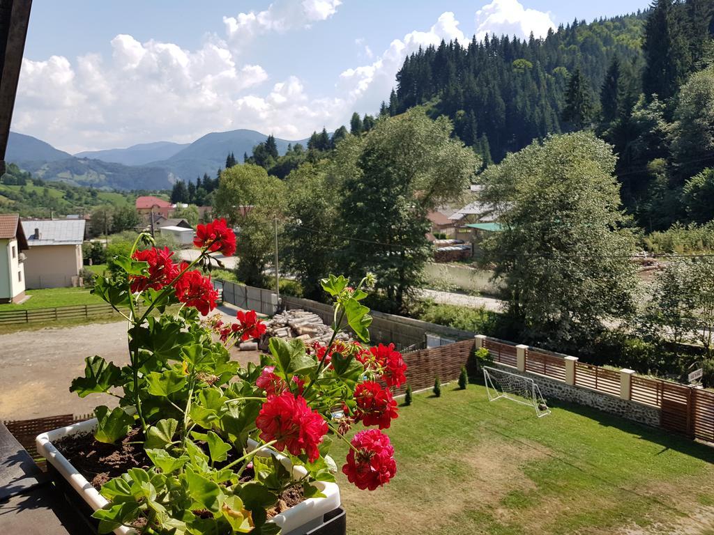 Casa Teodor Rucar Casa De Oaspeti Екстер'єр фото
