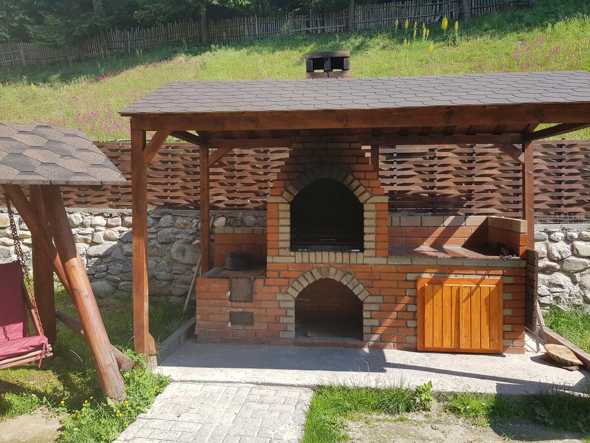 Casa Teodor Rucar Casa De Oaspeti Екстер'єр фото